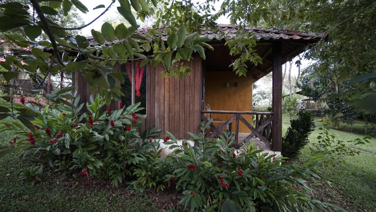 Cabanas Tonina Kayab Ocosingo المظهر الخارجي الصورة