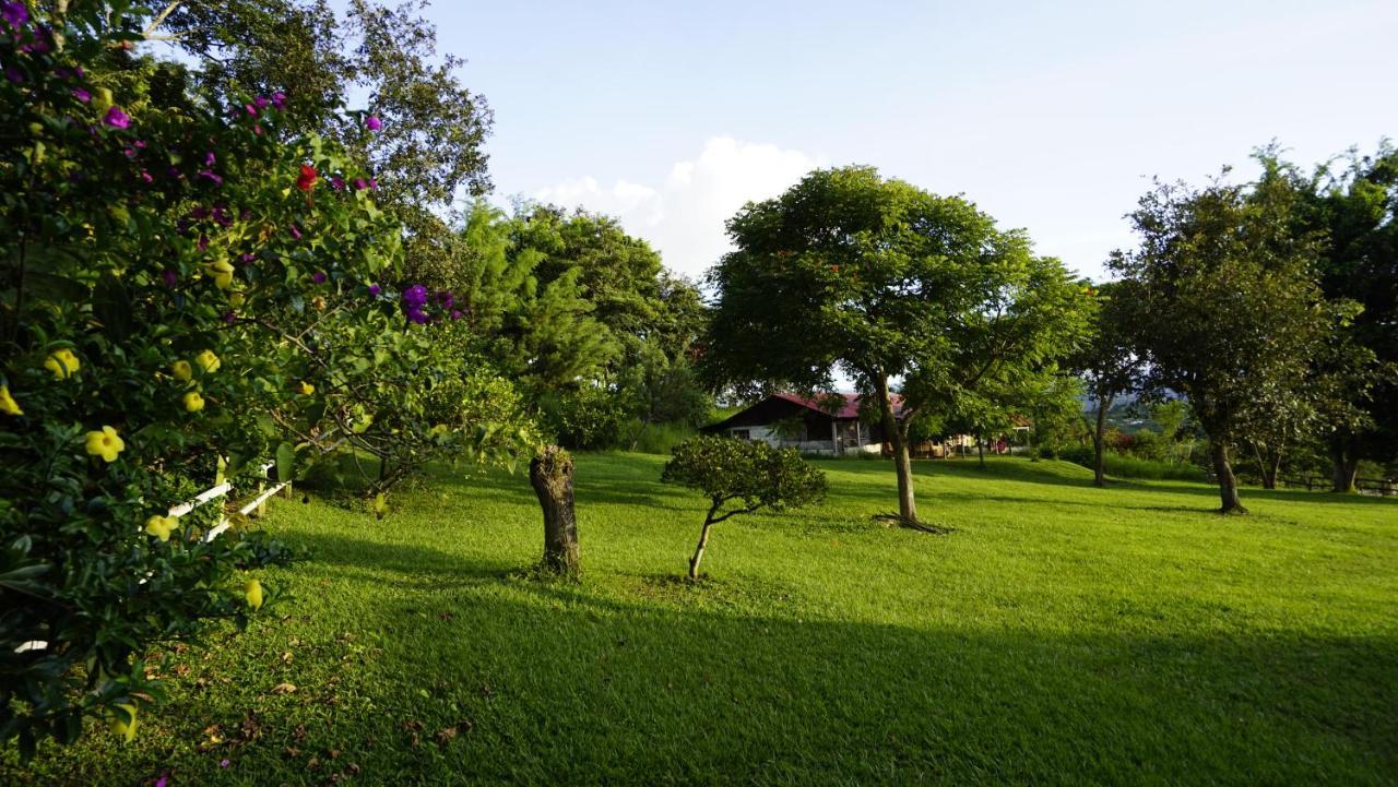Cabanas Tonina Kayab Ocosingo المظهر الخارجي الصورة